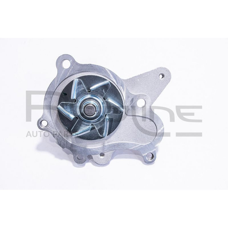 Pompa acqua - RED LINE