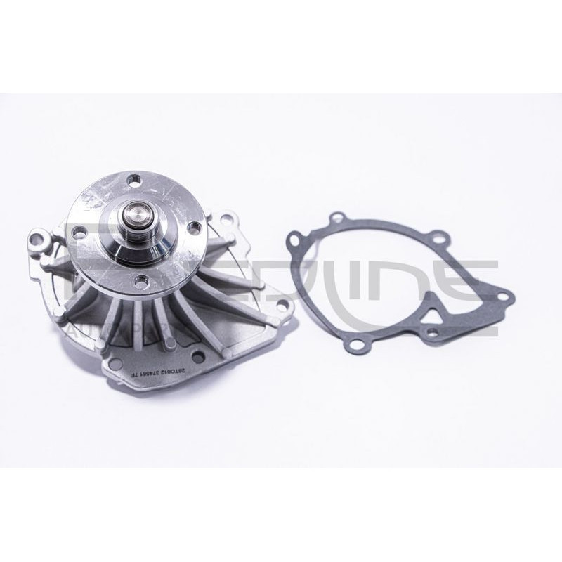 Pompa acqua - RED LINE