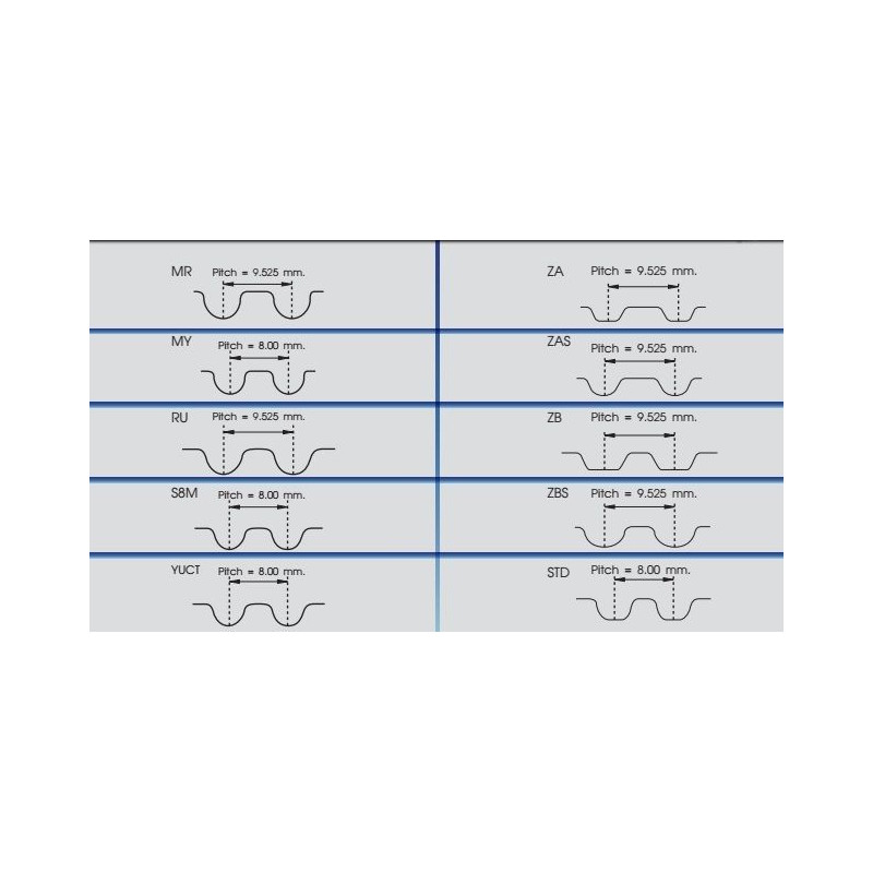 Cinghia/catena distribuzione - RED LINE