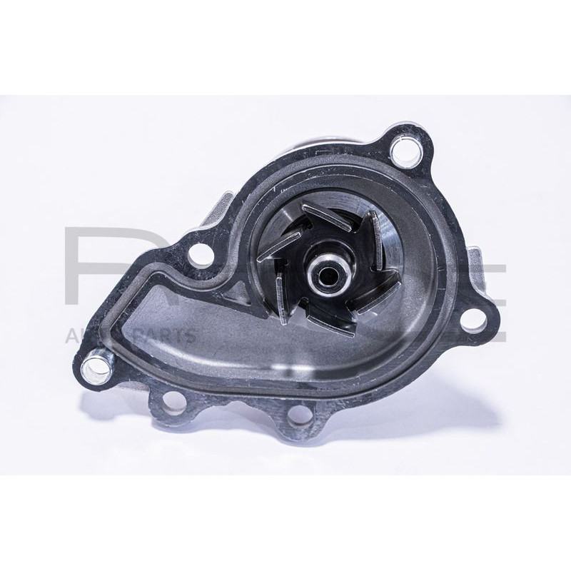 Pompa acqua - RED LINE