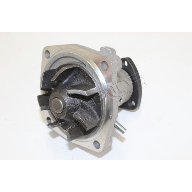 Pompa acqua - RED LINE