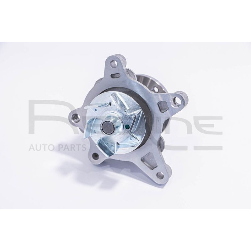 Pompa acqua - RED LINE