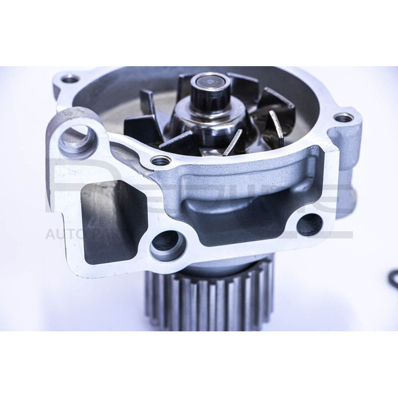 Pompa acqua - RED LINE