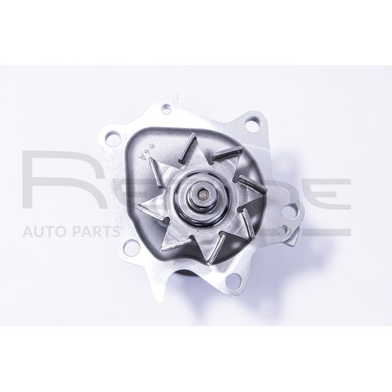 Pompa acqua - RED LINE