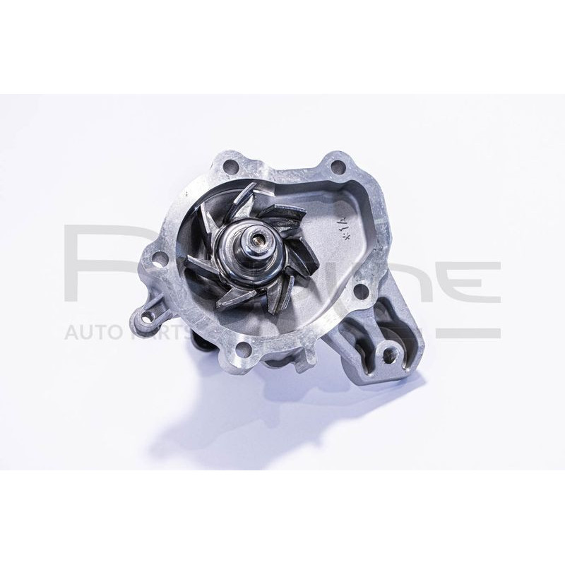 Pompa acqua - RED LINE