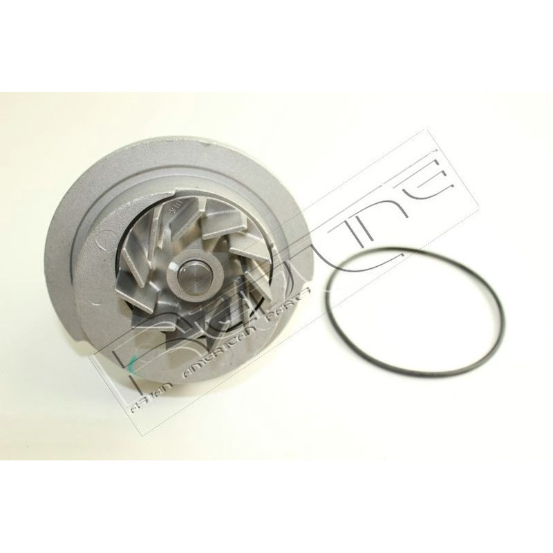 Pompa acqua - RED LINE