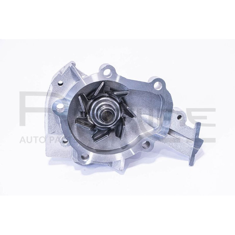 Pompa acqua - RED LINE