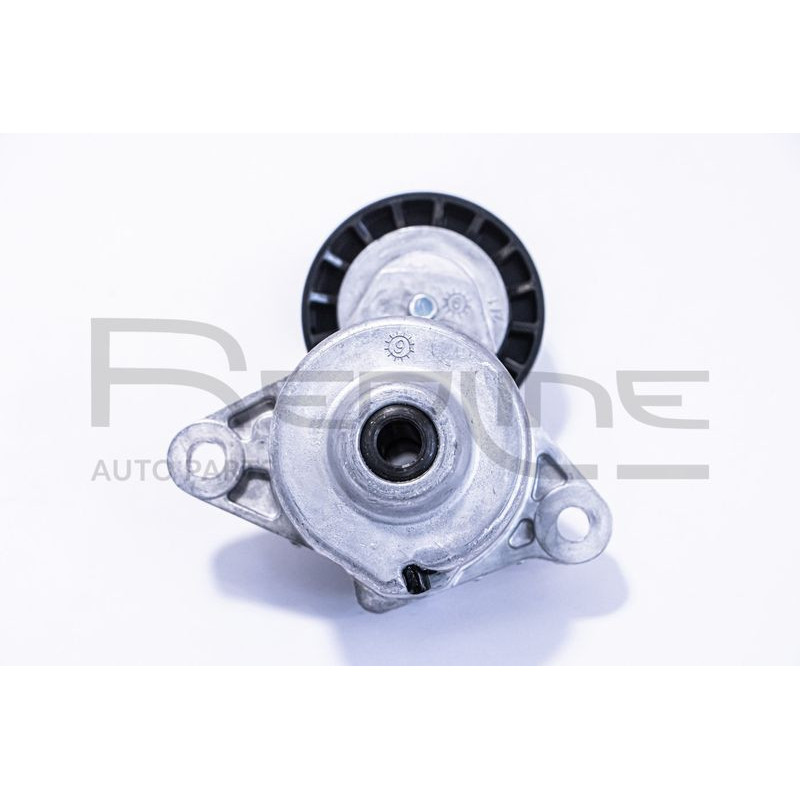 Tendicinghia trapezoidale - RED LINE