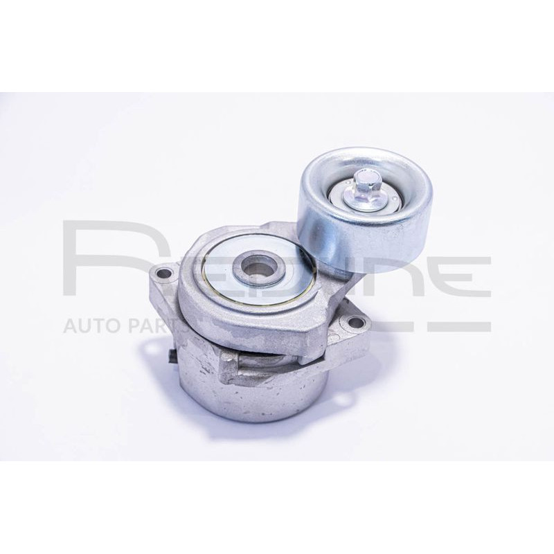 Tendicinghia trapezoidale - RED LINE