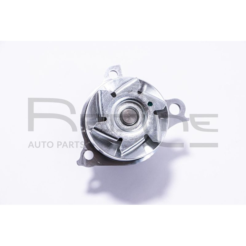 Pompa acqua - RED LINE