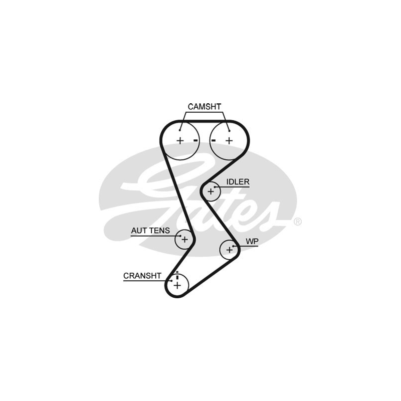 Cinghia/catena distribuzione - GATES