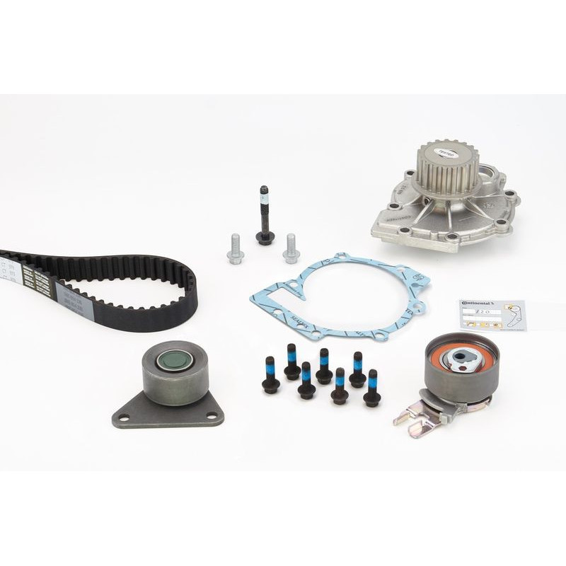 Cinghia/catena distribuzione - CONTITECH