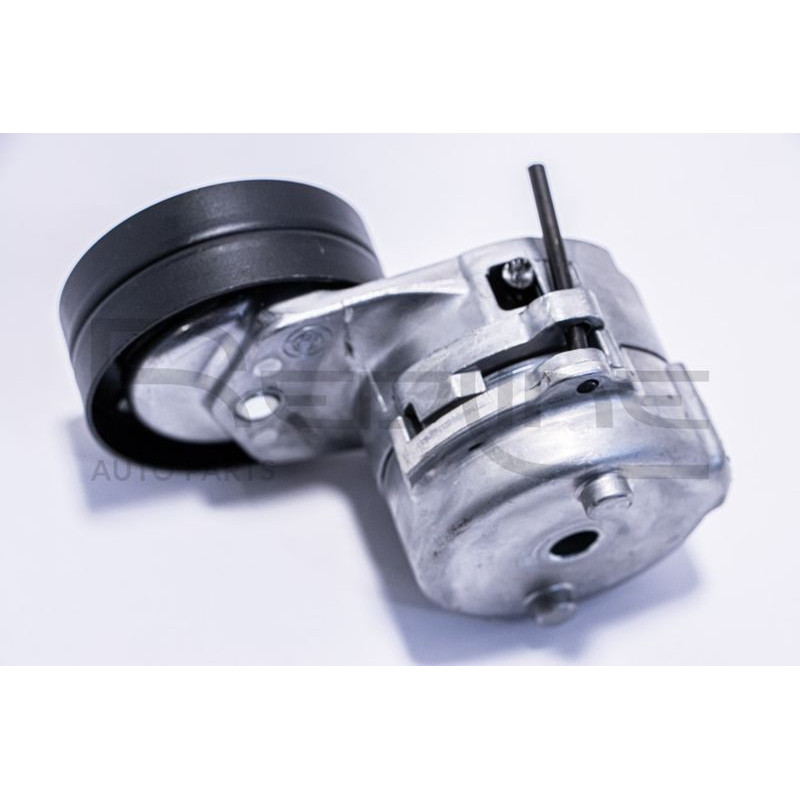 Tendicinghia trapezoidale - RED LINE