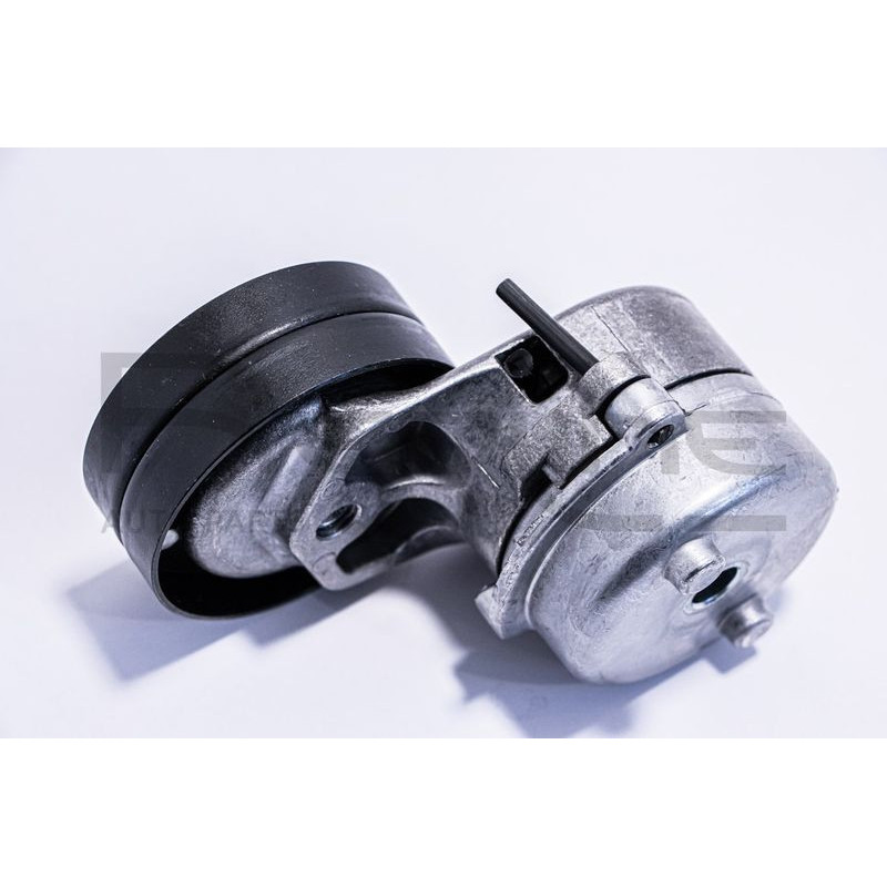 Tendicinghia trapezoidale - RED LINE