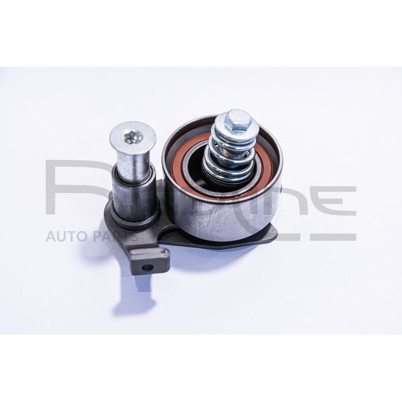 Tendicinghia distribuzione - RED LINE