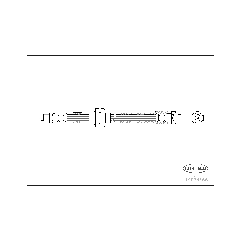 Flessibile freno asse posteriore - CORTECO