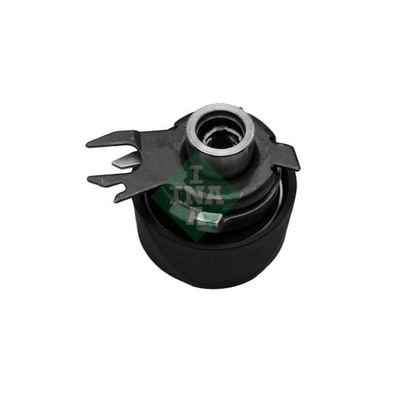 Tendicinghia distribuzione - INA