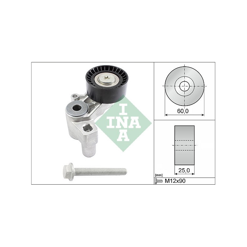Tendicinghia trapezoidale - INA