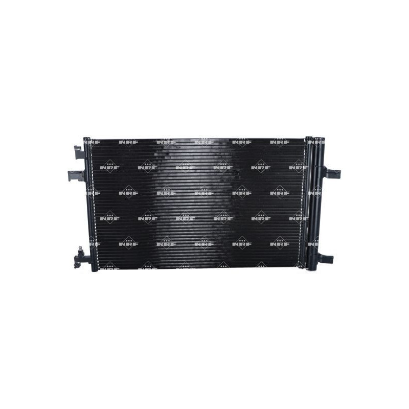 Cinghia/catena distribuzione - NRF