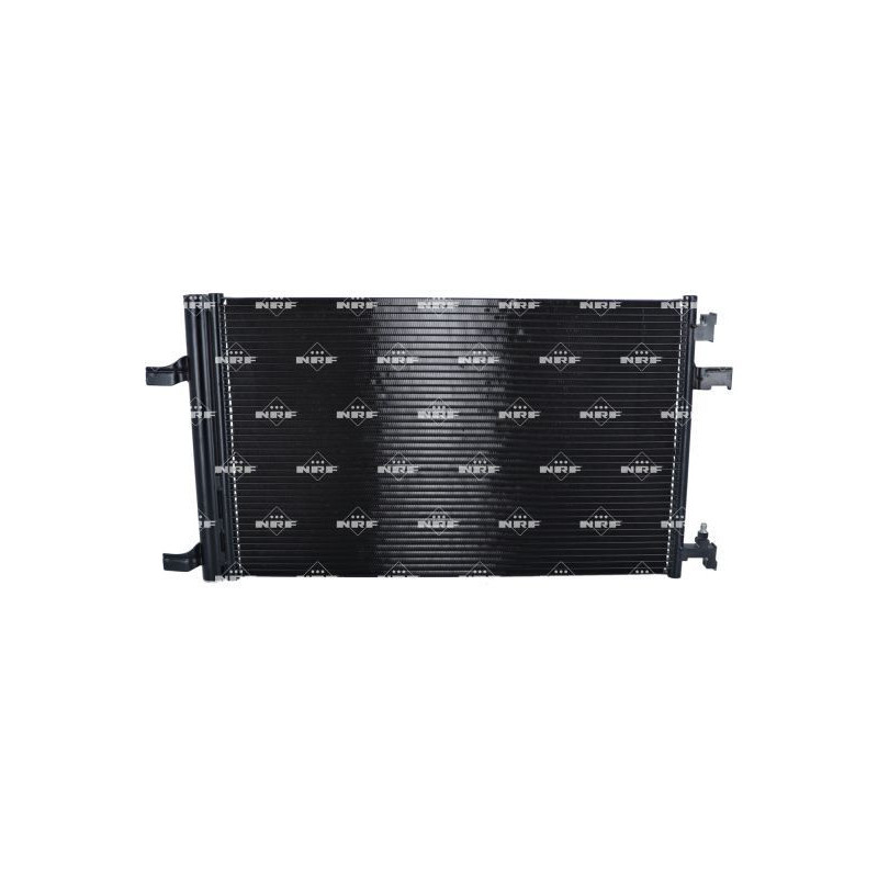 Cinghia/catena distribuzione - NRF