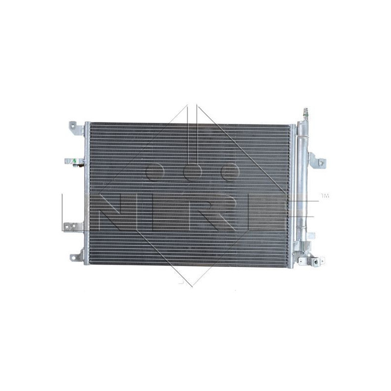 Cinghia/catena distribuzione - NRF