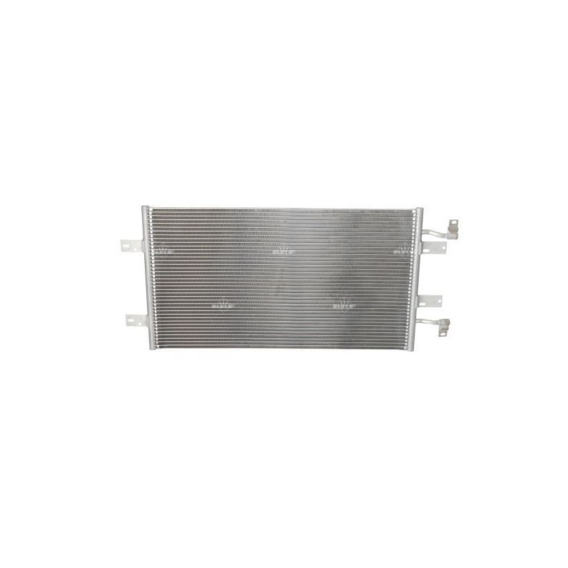 Cinghia/catena distribuzione - NRF