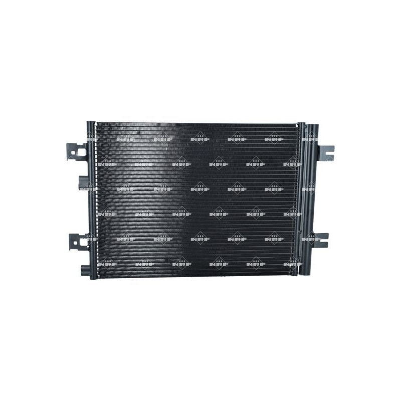 Cinghia/catena distribuzione - NRF