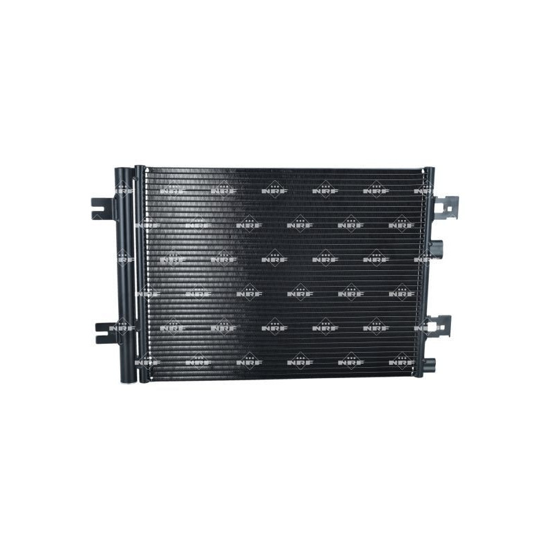 Cinghia/catena distribuzione - NRF