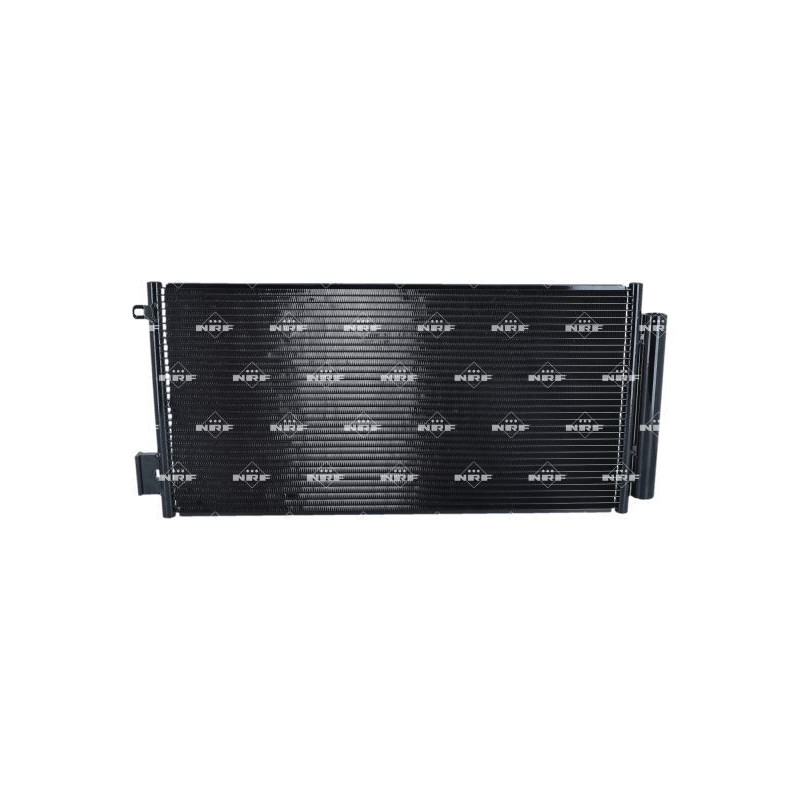 Cinghia/catena distribuzione - NRF