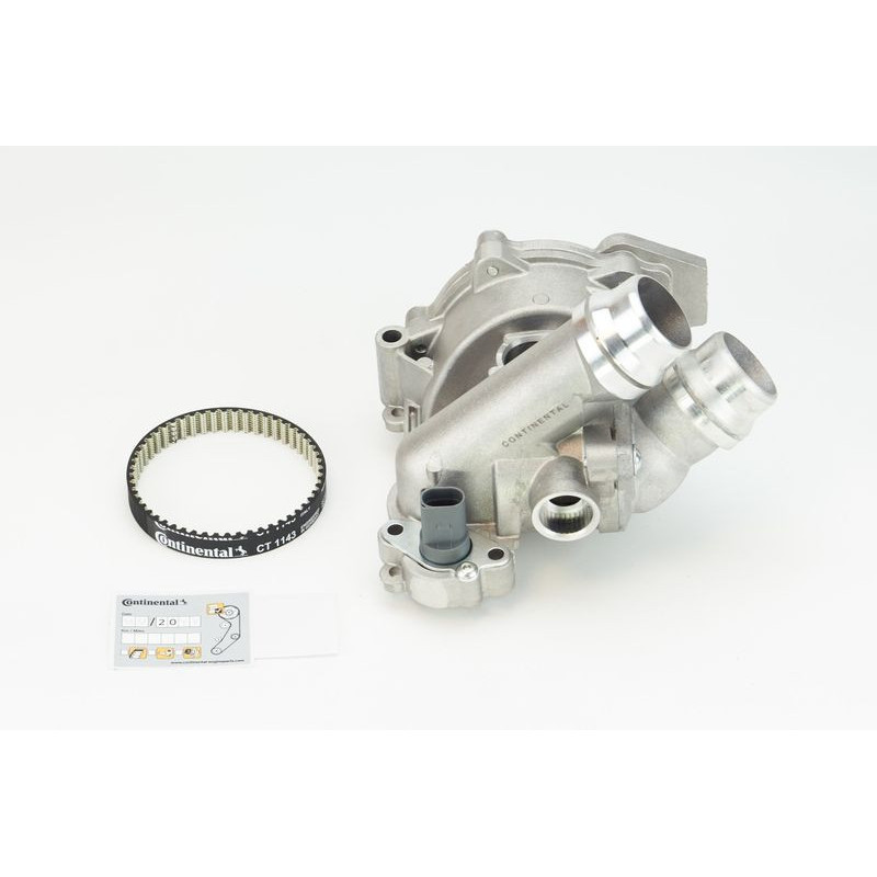 Cinghia/catena distribuzione - CONTITECH