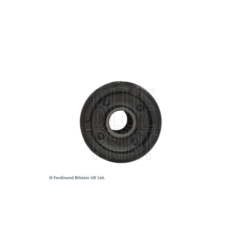 Supporto braccio oscillante - BLUE PRINT