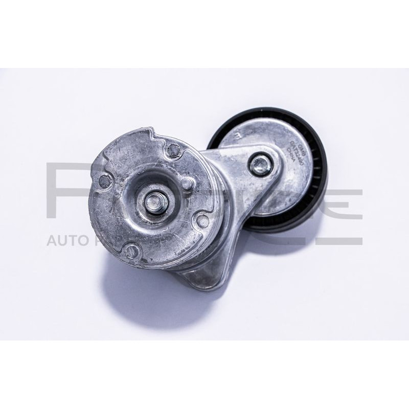 Tendicinghia trapezoidale - RED LINE