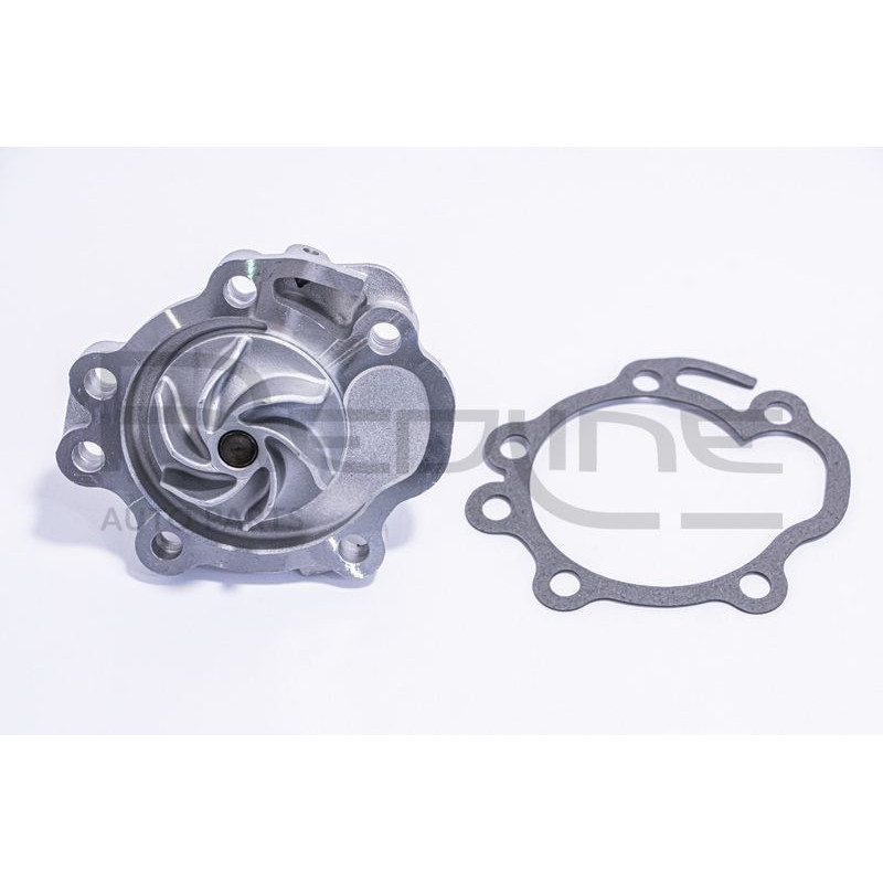 Pompa acqua - RED LINE