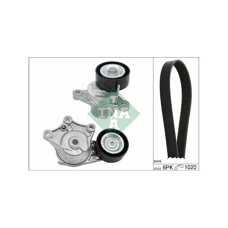 Tendicinghia trapezoidale - INA