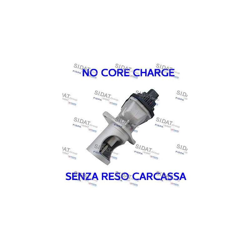 Valvola EGR - SIDAT