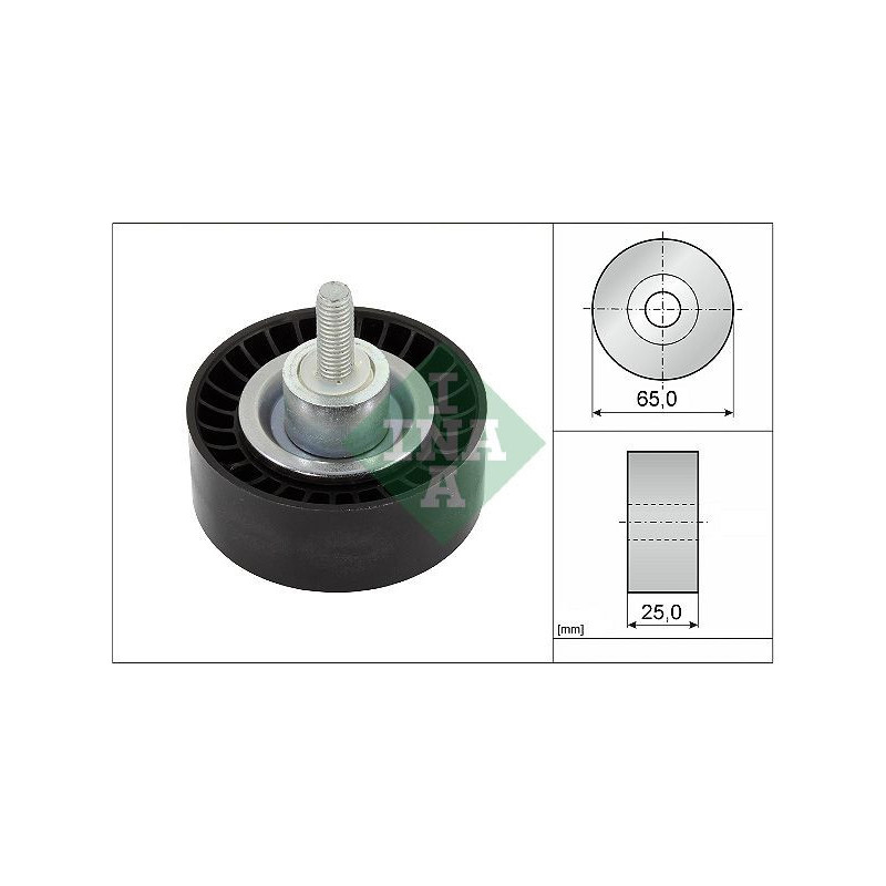 Tendicinghia trapezoidale - INA