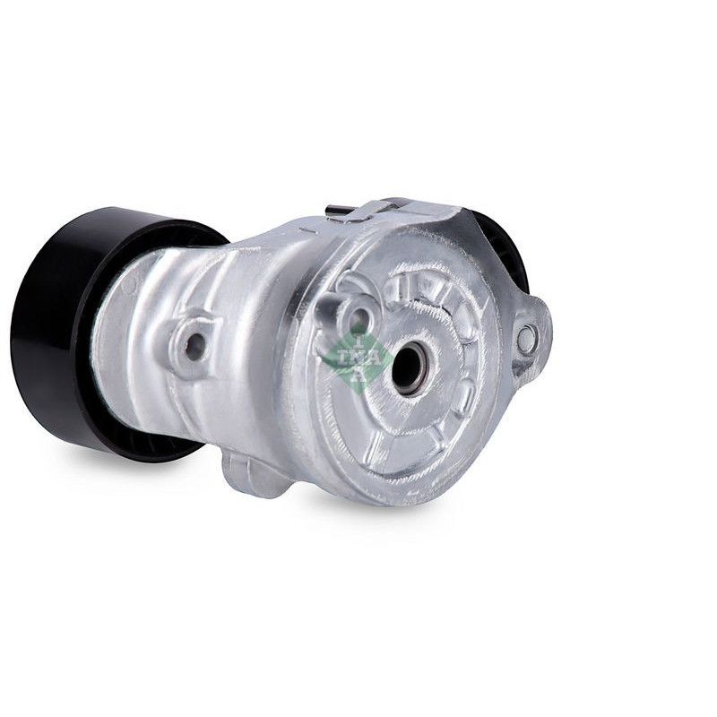 Tendicinghia trapezoidale - INA