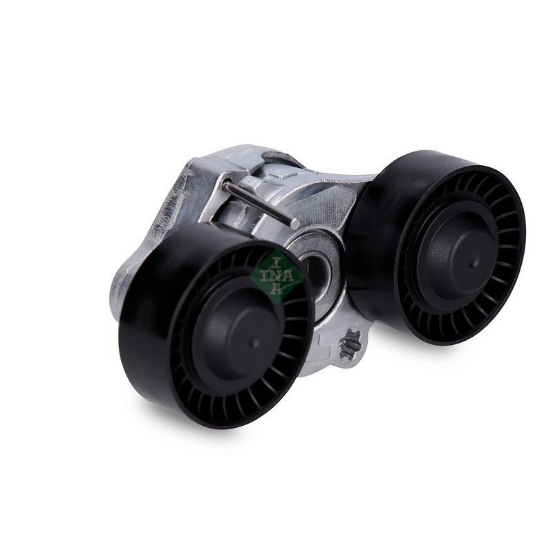 Tendicinghia trapezoidale - INA