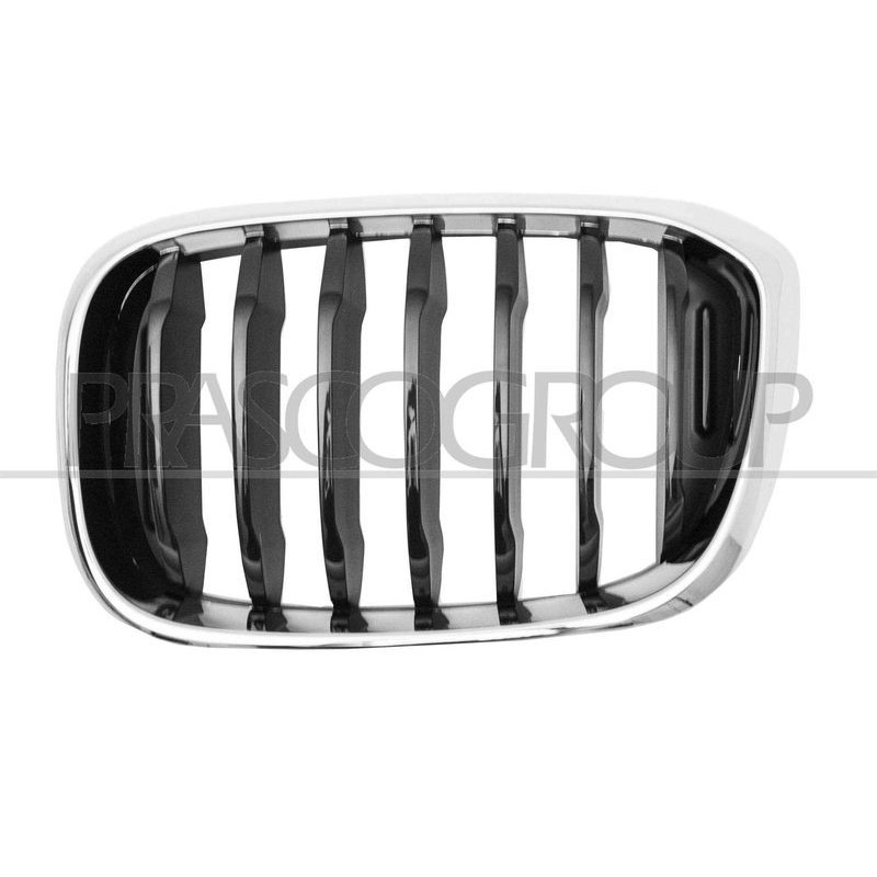 Griglia paraurti - PRASCO