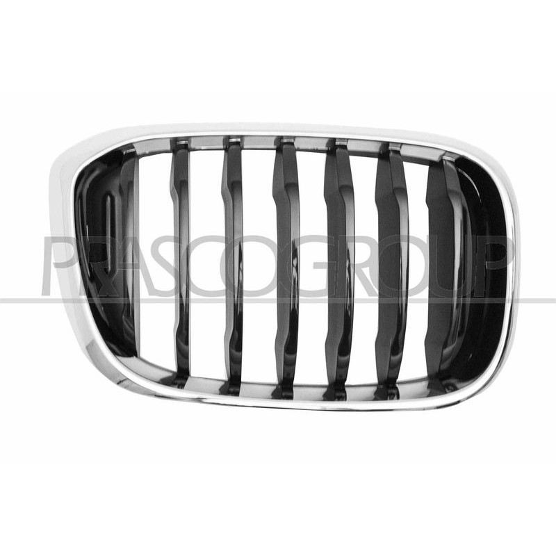 Griglia paraurti - PRASCO