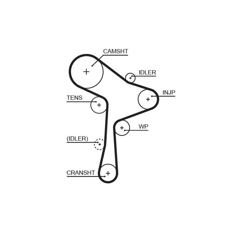 Tendicinghia trapezoidale - GATES