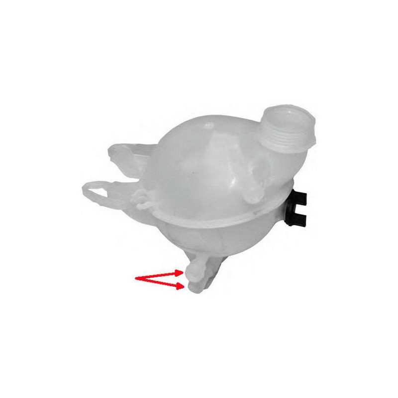 Vaschetta espansione - GOOM