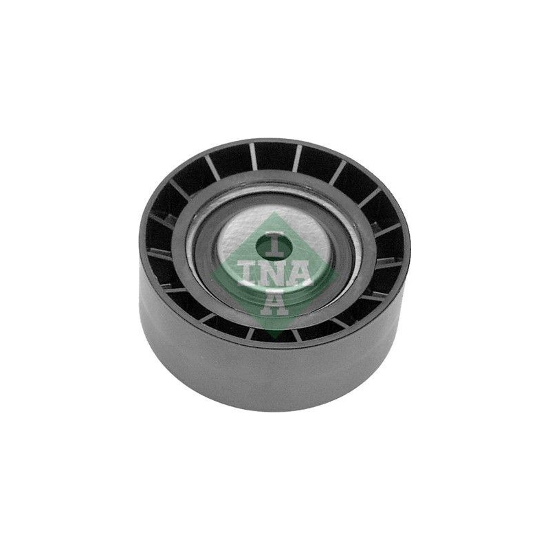 Tendicinghia trapezoidale - INA