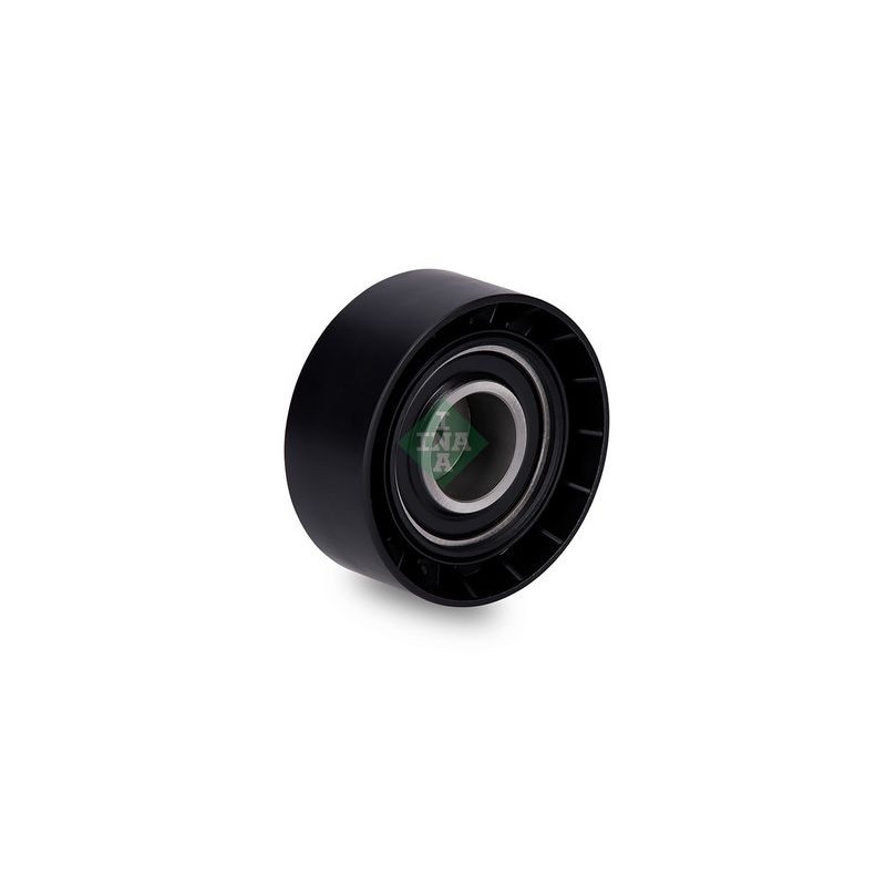 Tendicinghia trapezoidale - INA