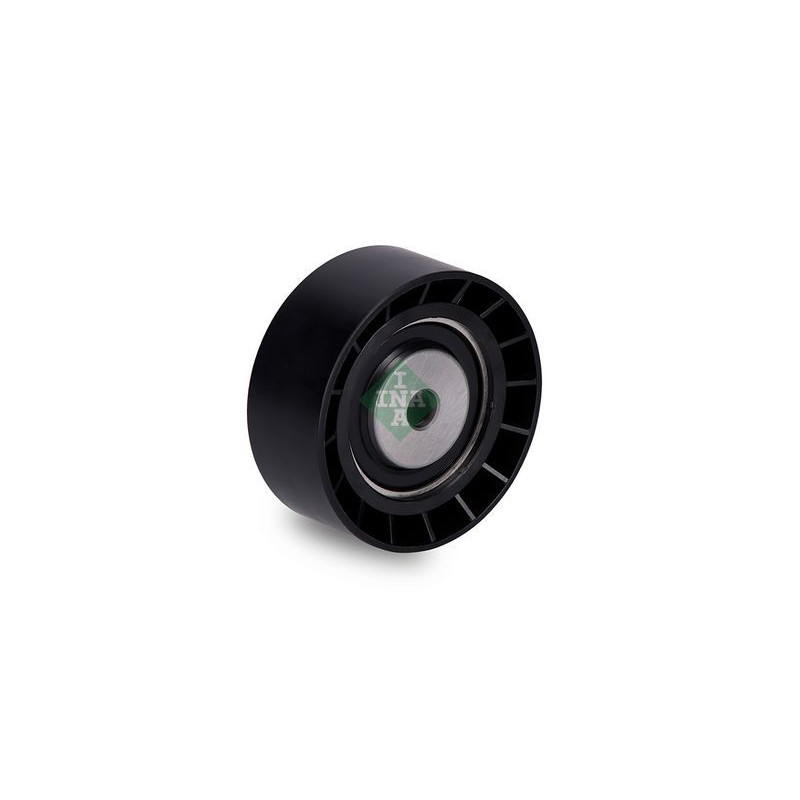 Tendicinghia trapezoidale - INA