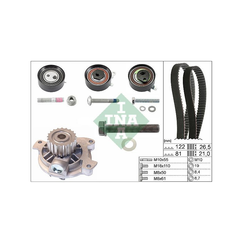 Cinghia/catena distribuzione - INA
