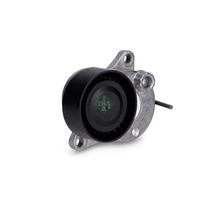 Tendicinghia trapezoidale - INA