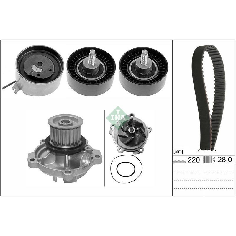 Tendicinghia distribuzione - INA