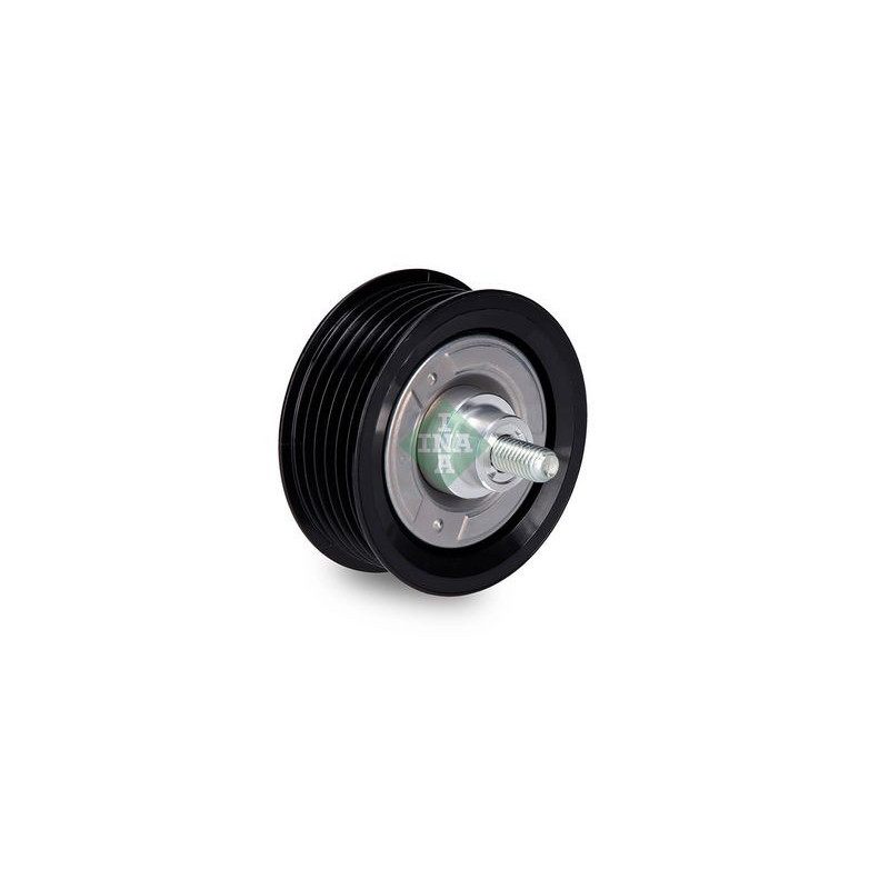 Tendicinghia trapezoidale - INA