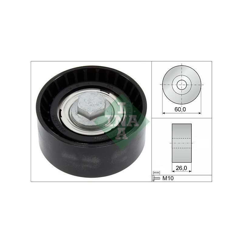 Tendicinghia trapezoidale - INA